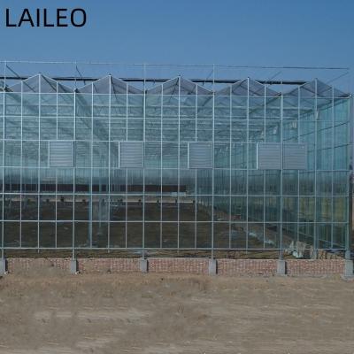 China Stable Structure Easily Assembled Agricultural Greenhouses Multi Span Glass Greenhouses With Hydroponic System for sale