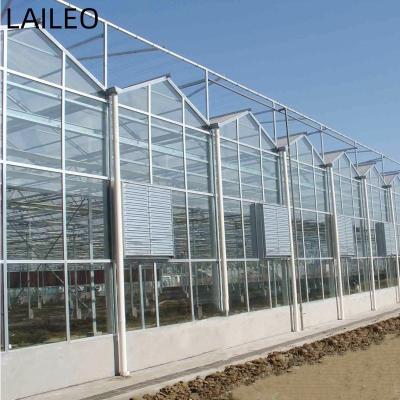 China Stable Structure Easily Assembled Commercial Agriculture Glass Greenhouse With Hydroponic System For Tomato for sale