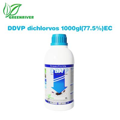 China Dichlorvos 1000gl EC Organic Insecticide cas 62-73-7 Modern Pesticides for sale