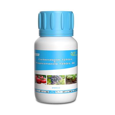 China Tebuconazol 125 gl + Propiconazol 125 gl fungicida foliar CE en venta