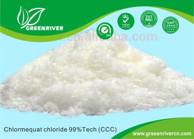 China Clormequat cloruro CCC Reguladores del crecimiento de las plantas Polvo cristalino blanco PGR en venta