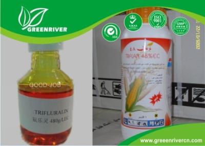 China Acetoclor Select herbicida 34256-82-1, herbicidas pre-emergentes en líquido amarillo en venta