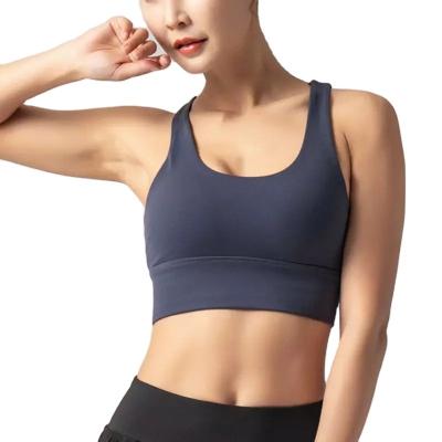 China New fitness rebound top large size sweat QUICK DRY seamless sports bra absorbent spandex border commercial sports invest for sale