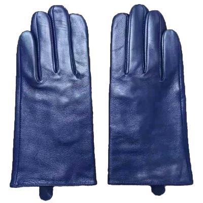 China 2021 Hot New Popularity Selling Products Leather Glove 7S8626PF Hot Casual Fashion for sale