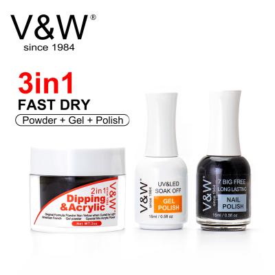 China VW DIY Personal Nail Art Best Quality 3 Healthy Quick Dry In 1 Color Match Powder Acrylic Dip Nails Gel Polish & Acrylic Nail Polish Nail Set for sale