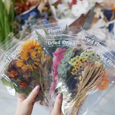 China Creative Fashion Decorative Decoration Sticker 8 Styles Diy Sticker Pet Dried Flower Plants Stickers for sale