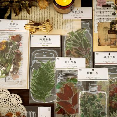 China Institute Decorative Botanical Series Sticker Pet Scrapbooking Stationery Cute Fresh Cute Stickers for sale