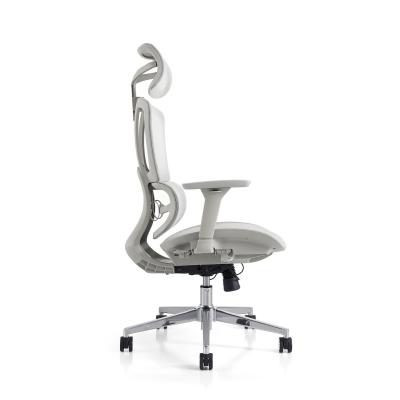 China All Function Mesh Chair High End Design for Office from Foshan for sale