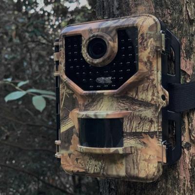 China IP66 Design China Factory Wholesale Price 20MP 4G Waterproof Game Hunting Trail Camera for sale