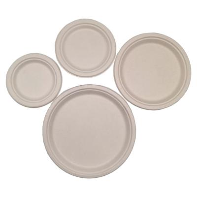 China Natural Disposable Biodegradable Microwave Heated Bagasse Paper Food Container Dried Fruit Tray for sale