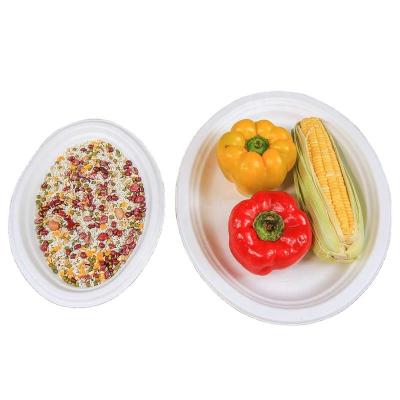 China Wholesale Biodegradable White Disposable Compostable Bagasse Eco-friendly Color Paper Oval Dishes For Dried Fruits for sale