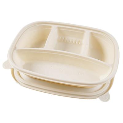 China Hot Online Biodegradable Sushi Box Pla Container Food Box Cornstarch Sales Store Pla Degradable Bento Box for sale