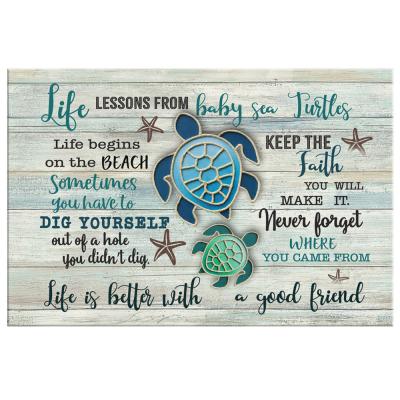 China Life Lessons Rustic Wall Art Farmhouse Sign Baby Sea Turtles Canvas for sale