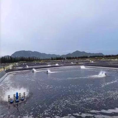 China Contemporary 0.75mm Geomembrane Liner for Waterproofing Ponds Dams and Swimming Pools for sale