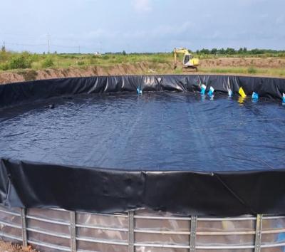 China Witte geomembrane waterdicht 0,5 mm 1 mm vishouderij vijver Liner HDPE geomembranen Te koop