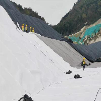 중국 200g/400g 직무용 지오백 지오텍스틸 성장 튜브 모래 지오백 토지 작업 너비 1-6m 판매용