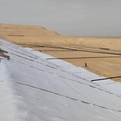 China Duración de 50-100 m/rollo a petición Geotextil no tejido para vertederos 200 a 1000 g/m2 en venta