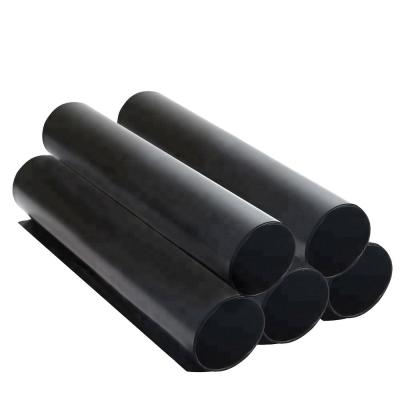 중국 0.3mm HDPE 지오 엠브레인 덤 라인어 (Geomembrane Damliner) 판매용