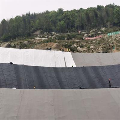 China Contemporary Design HDPE Geomembrane Waterproof for Biogas Digester Earthwork Products for sale