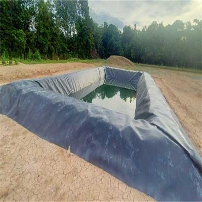 China 0.75mm 1mm HDPE Geomembrane for Landscaping and Fish Farming Impervious Pond Lining for sale