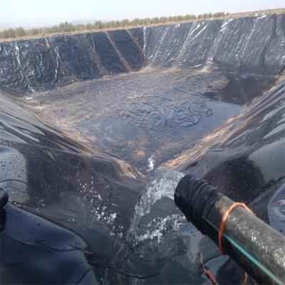 China Contemporary Design Style Anti-uv Hdpe Pond Liner for Pond Dam and Geomembrane for sale