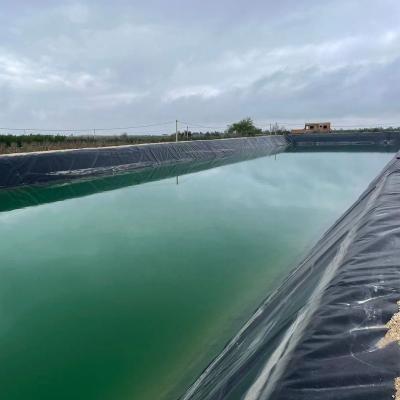 China Envasador de estanque de geomembrana de HDPE para exteriores Envasador de depósito de agua 500 micrones 750 micrones Polietileno en venta