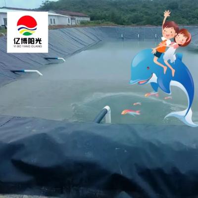 China Glatte Oberflächen-HDPE-Geomembranverkleidungen aus 100% jungem HDPE für Fischbrüten im Freien zu verkaufen