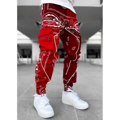 China 2021 Fashions Streetwear Drawstring Cotton Quick Dry Panties Breathable Loose Sportwear Bandana Printed Jogger Sweatpants Men for sale