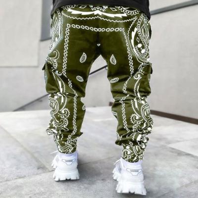 China High Street Pockets Hip Hop Fashion Wear Harem Pants QUICK DRY Printed Loose Pants With Casual Mens Cargo Pants for sale