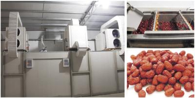 Chine Tous dans une pompe à chaleur air-air de construction de dessiccateur, machine de dessiccateur de fruit à vendre