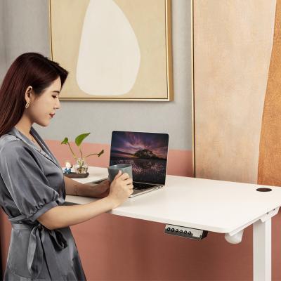 China Freestanding Electric Adjustable Desk Motorized Lift Up Desk Table Lift Warranty 10 Years (Height) Warranty for sale