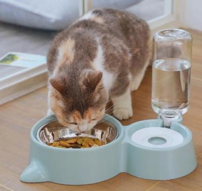 China Automatic Dog Cat Pet Water Refill Bowl Cat Food Supplies Automatic Double Bowl Plastic Bowl for sale