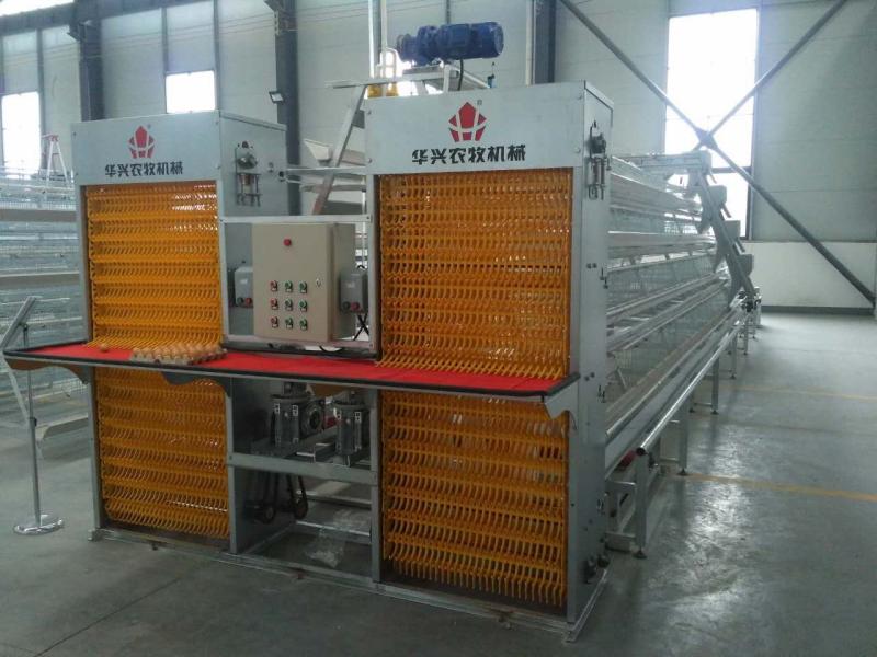 Проверенный китайский поставщик - Henan Huaxing Poultry Equipments Co.,Ltd.