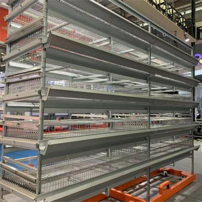 China Automatic Egg Quail Cage For 6 Tier Cage Capacity 200000 Quail Per Farm for sale