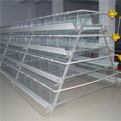 China Chicken Farming 3 Tiers A Frame Layer Cages Automatic Manure System for sale