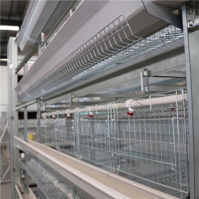 China 4 Tier 2 Doors H Type Broiler Cage Hot Galvanized Surface Treatment for sale