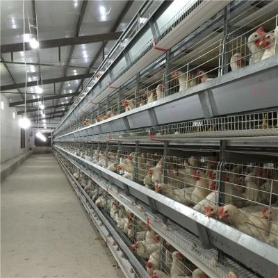 China Jaula animal galvanizada sumergida caliente de la batería automática del marco de H/jaula de la capa del pollo/jaula de batería de la capa del pollo en venta en venta