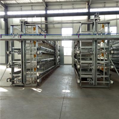 Китай Poultry Farm Automatic Egg Collection System For A Cage H Cage продается