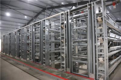 China Galvanized Steel Poultry Egg Collection System Electrostatic Spray en venta