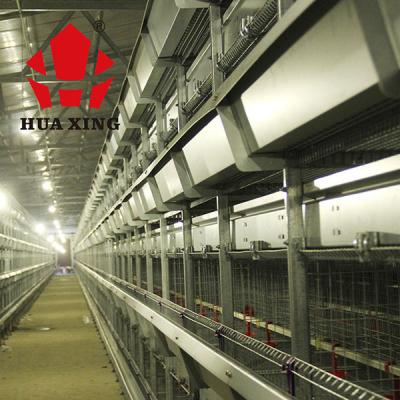 China Automatische Braadkipkooi voor het Dierlijke Duurzame Vee van de Gevogeltelandbouw en veeteelt Te koop