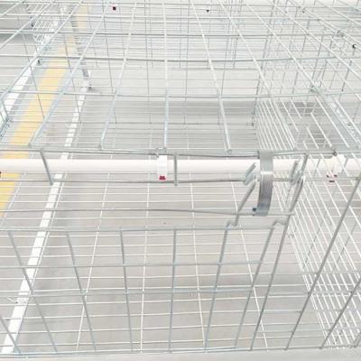 China Waterproof 380V Broiler Chicken Cage Hot Galvanized Surface 20 - 25 Years Warranty for sale