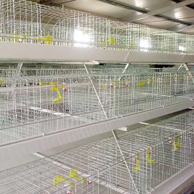 Chine cage de poulet en métal 0.75kw, cages à piles automatisées de contrôle pour la volaille à vendre