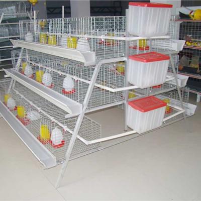 China A Type 198 Birds Layer Chicken Cage Poultry Farming Equipment for sale