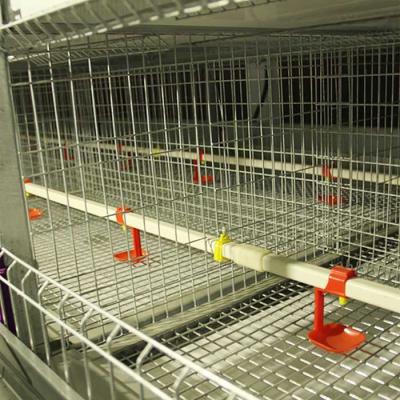 China Hot Galvanized Wire Baby Chick Cage 264 Birds Capacity Silver White Color for sale