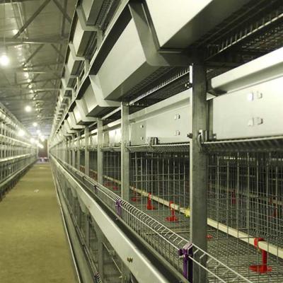 China Poultry Farming Chicken Cage Wire , High Temp Resistant High Tech Chicken Cage for sale