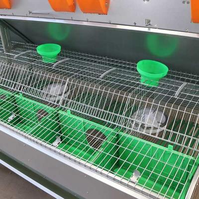 Chine Fil d'acier futé confortable de la cage Q235 de lapin de ferme/matière plastique à vendre