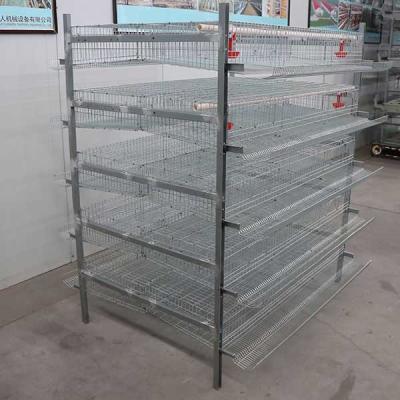 China High Durability Quail Cages For Egg Production Less Legs Twisting / Injury for sale