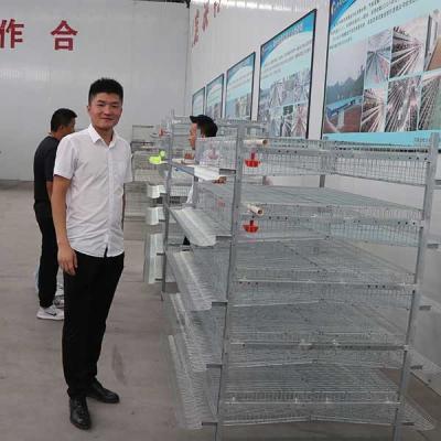 China As aves domésticas de alimentação automáticas mergulham a gaiola para as codorniz que cultivam o material do fio Q235 de aço à venda