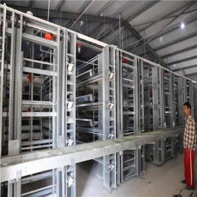 China Farm Automatic Egg Collection System No Egg Breakage For Chicken Egg Land Saving for sale