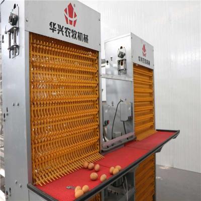 China Material agrícola de granja avícola electrostático del espray, jaulas de acero del pollo de la colocación de huevo en venta